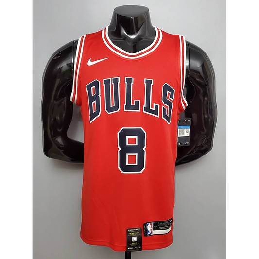 Chicago Bulls