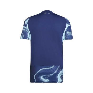 Camisola Alternativa Ajax 25/26